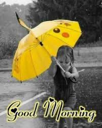 Good morning rain pic hd. 126 Fresh Good Morning Nature Images Photos Free Download For Whatsapp Good Morning