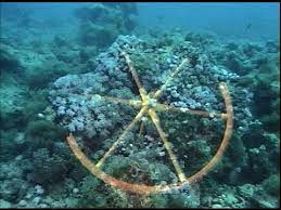 Feb 07, 2019 · he summoned his 600 best chariots, all the other chariots in the land, and marched his massive army in pursuit. I Am 99 9 Percent Sure I Picked Up A Chariot Wheel Said Peter Elmer A Forklift Mechanic From Keynsham England Crossing The Red Sea Red Sea Bible History