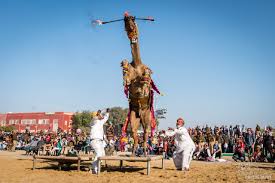 Before the advent of modern motor vehicles, the survival of attractions of the festival the festival starts off with a parade of beautifully decorated camels from the junagarh fort. Bikaner Camel Festival Fotojoys
