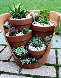 Cacti like to grow slowly, so even with fertilizer, you'll have to be patient. 22 Best Cactus Landscaping To Grow In Your Garden Etli Yaprakli Bitki Bahcesi Sukulent Ekimi Etli Yaprakli Bitkiler