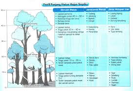 Rpt geografi tingkatan 1 2018. Kumpulan Rpt Geografi Tingkatan 1 Yang Dapat Di Download Dengan Cepat Contoh Resume Cover Letter Curriculum Vitae Terbaik