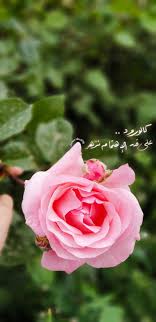 ياليت حبل المواصل بيني وبينك. ÙˆØ±Ø¯ Ø§Ù‚ØªØ¨Ø§Ø³Ø§Øª ÙƒÙ„Ø§Ù… Ø²Ù‡Ø±ÙŠ Ù…ØµÙˆØ±Ø§Øª Ø®Ù„ÙÙŠØ§Øª Ø¨ÙŠØ³ÙŠØ§Øª Flower Box Gift Sky Photography Nature Anatomy Art In 2021 Islamic Gifts Flower Box Gift Sky Photography Nature