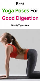Pin On Digestive Health