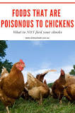 What foods are poisonous to chickens?