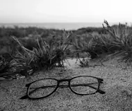 Image result for lost will how to go to probate course