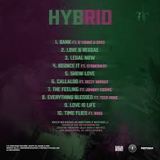 Hybrid Collie Buddz