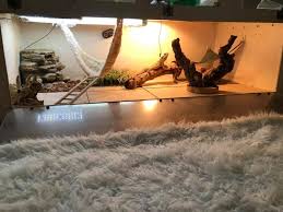 120 Gallon Tank For Bearded Dragon Bearded Dragon Bearded Dragon Cage Bearded Dragon Enclosure