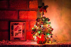 Masalahnya, pohon cemara yang digunakan sebagai pohon natal harganya lumayan mahal. 5 Kreasi Unik Pohon Natal Diy Dijamin Hemat Bujet