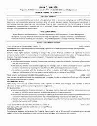 Business Analyst Resume Summary Examples Best Of How To Write An Executive Summary For A Proje In 2020 Business Analyst Resume Business Analyst Resume Summary Examples