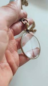 Image result for Monotes magnificus