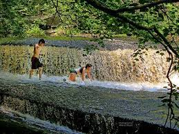 We did not find results for: Playing In The Stepping Stone Falls Photographer Steve Wood Picture Of Washington County Rhode Island Tripadvisor
