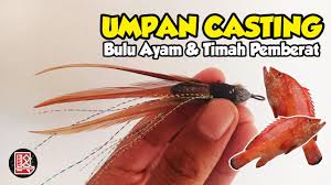 Satu pertanyaan sangat simpel sekali, tentunya anda harus membuat umpan ikan mas beda dengan yang lain, jangan sampai meracik upan ikan mas itu salah adonan saat mengolahnya. Cara Membuat Umpan Bulu Ayam Pakai Timah Pemberat Untuk Ikan Kerapu Merah Youtube