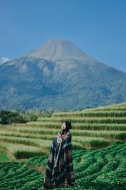 Di sini juga saya gambarkan gubuk yang umum ada di sawah sebagai tempat istirahat pak tani. Pin Di Treveler