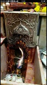 Image result for Kanahia