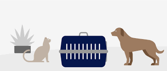 We specialize in safe international pet relocation and travel services. Travelling With Animals Lufthansa