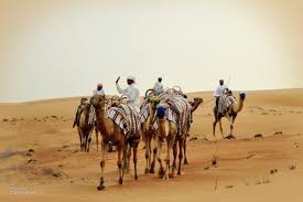They pick you up from your hotel in a 4*4 vehicles on the day of camel riding. Camel Riding Dubai Unlimited Ride Best In Dubai