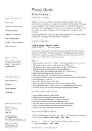 Team Leader Cv Sample