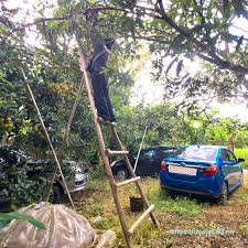 Check spelling or type a new query. Senarai Harga Kereta Selepas Pengecualian Cukai Jualan 2020