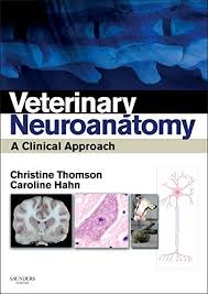 Epub Download Veterinary Neuroanatomy A Clinical Approach 1e Pdf Download Veterinary Clinic Ebook