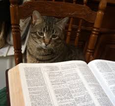 It describes the greatness and glory of god's word. Why Are There No Cats In The Bible Newman Research Centre For The Bible And Its Reception