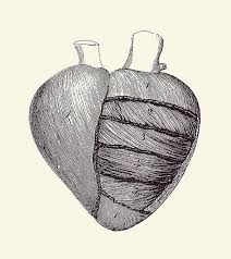 Sad young woman suffers from painful feeling in arm muscle, stands sideways against white background, injured shoulder during workout session. Heart Diagram Vintage Anatomy Print 2 Drawing By Vintage Anatomy Prints