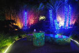 A beautiful botanical garden with cascading waterfalls, 50+ garden displays, koi ponds, and countless breathtaking views! Florida Botanical Gardens Holiday Lights Return To Largo