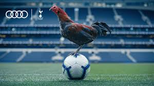 It shows all personal information about the players, including age, nationality, contract duration and. Audi Uk Check Out Spurs New Stadium Youtube