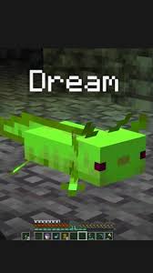 The axolotl song!this is an animation about dream and georgenotfound, but dream is a beautifu. Axolotl Song Pinterest