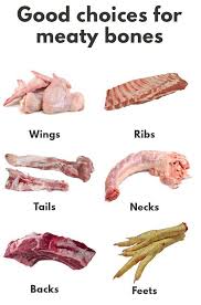 Switching To A Raw Dog Food 10 Rawfoodtips Raw Dog Food Recipes Raw Dog Food Diet Dog Food Recipes
