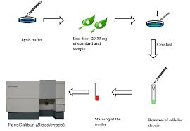 Flow Cytometry Applied In Tissue Culture Intechopen