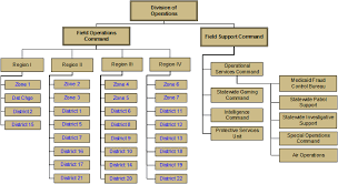 Isp Organization Chart Tree Of Life Corporate Organizational