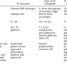 Image result for Baphia bequaertii