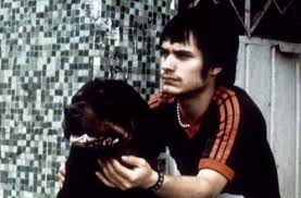 Amores Perros Perros Amarte Duele Gael Garcia Bernal
