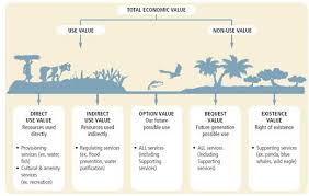 Why We Should Care About Small Mammals A Global Perspective Value Investing Ecosystems Investing