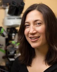 Postdoctoral Fellow — Scientist Profiles — Stories of WiN