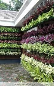 You must be wondering that how a vertical garden can be grown out of pallets. Vertical Vegetable Garden Manufacturing Tips And Vertical Planting