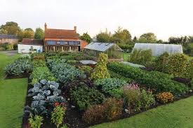 Charles Dowding 1 4 Acre No Dig Garden Love It Dig Gardens Garden Layout Cottage Garden