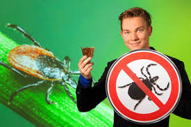 Finden sie hier die besten mittel gegen mückenstiche. Wirksames Mittel Gegen Zecken Bei Hunden Entdeckt Schwarzkummelol