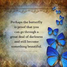 What Does A Butterfly Mean To You Butterfly Quotes Buddha Quote Butterfly Meaning