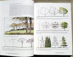 Sketching Architecture Architecture Sketch Landscape Drawings Sketches