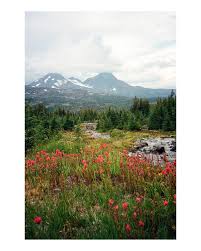Part 2: from a 3-day loop around Broken Top a couple of weeks back  (vertical edition, with one horizontal snuck in). It was a treat to spend  some extended time out there,