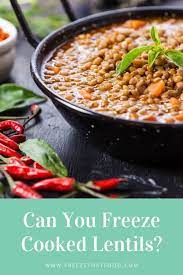 Can You Freeze Cooked Lentils Freeze That Food