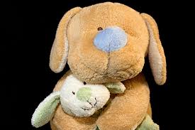 Yes Adults Also Sleep With Stuffed Animals But Most Don T Admit It Animal Help Animals Dinosaur Stuffed Animal