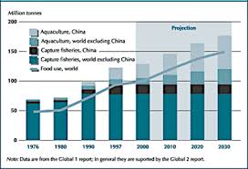 5 Ways To Net A Sustainable Future For Aquaculture World