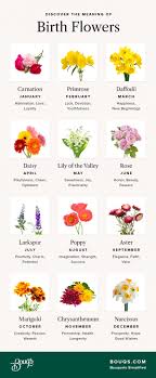 Its sweet fragrance and timeless beauty heralds the advent of summer like no other bloom. Your Birth Month Flower And What It Means Bouqs Blog