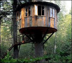 So, it should be no surprise that pete nelson from treehouse masters has decided to go to the mecca of treehouses in northern sweden. Interview With Pete Nelson Of Animal Planet S Treehouse Masters Cool Tree Houses Tree House Tree House Designs