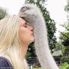 Susan Oller's Instagram, Twitter & Facebook