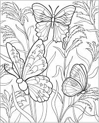 These alphabet coloring sheets will help little ones identify uppercase and lowercase versions of each letter. Butterfly Coloring Book Coloring Home