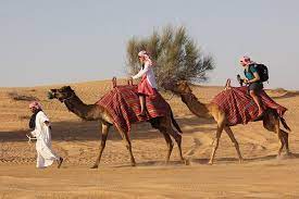 Contact camel ride with us !!! Desert Safari Tour 6 Hour Fun Family Friends Camel Ride Dinner Included 2021 Dubai