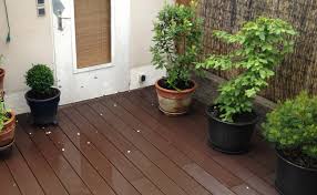 Ail, oignon et echalote à repiquer. Comment Creer Une Haie Sur Sa Terrasse
